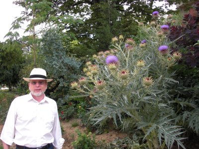 Two thistles